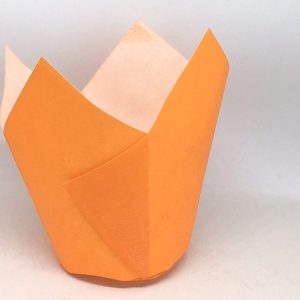 Tulipas de Papel Laranja +/-20 uni