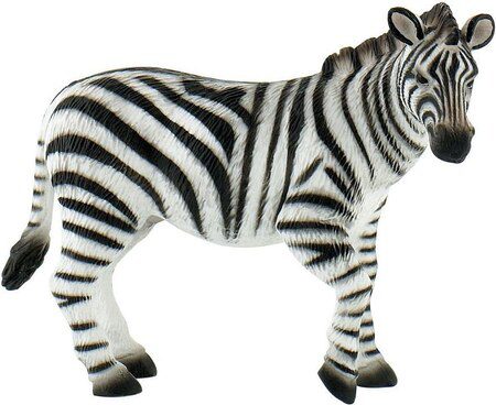 Zebra - Image 2