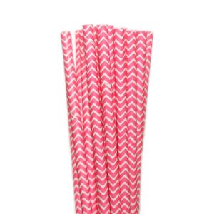 Canudo de Papel Zig Zag Pink