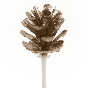 Pinha de Plástico Bronze Unidade